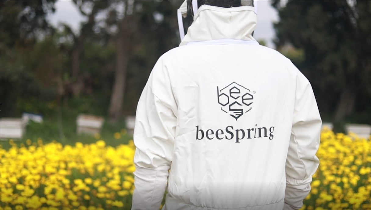 Image de marque BeeSpring dans un environnement apicole naturel