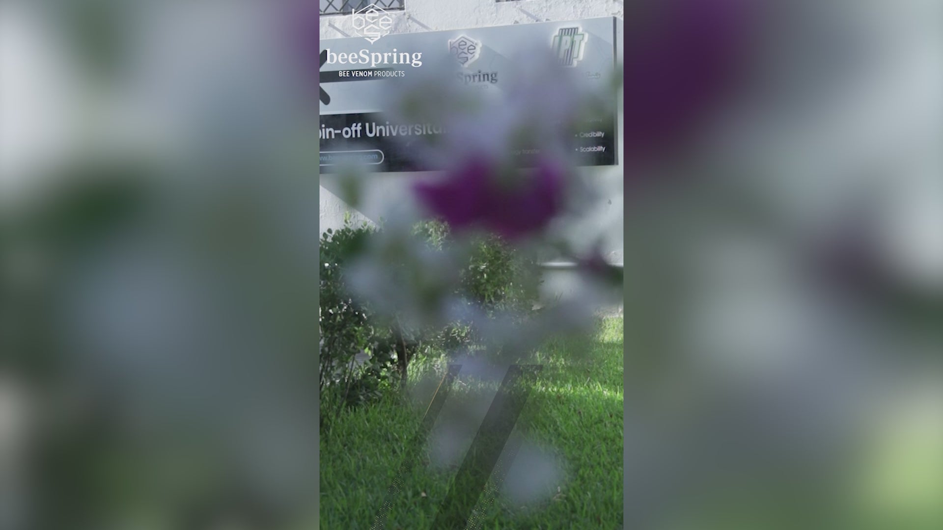 Charger la vidéo : 